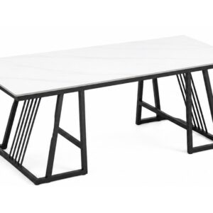 Lopez Modern Rectangular Ceramic Top Center Table with Metal Frame