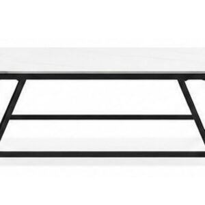 Lopez Modern Rectangular Marble Top Coffee Table with Metal Frame